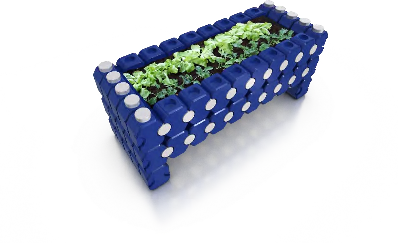 Garden bed built from blue modular detergent bottles